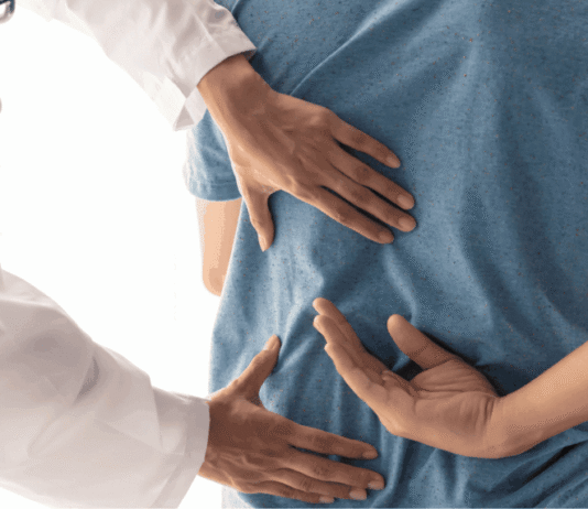 Finding the Source: Why Your Back Hurts (and How a Chiropractor Sees It) Back Hurts